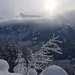 布鲁肯霍夫旅馆 公寓 *
