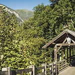 布鲁肯霍夫旅馆 *