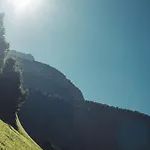 公寓 布鲁肯霍夫旅馆 弗林肯贝格
