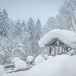 布鲁肯霍夫旅馆 *