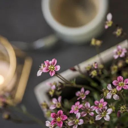 Bruckenhof Lejlighed *