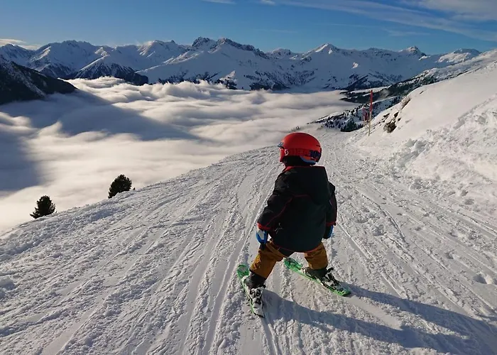 Brueckenhof 아파트 *