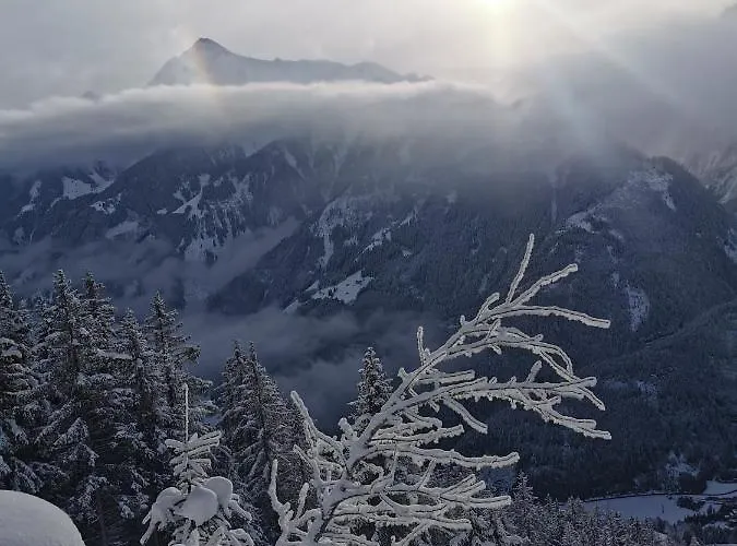 Brueckenhof 아파트 *